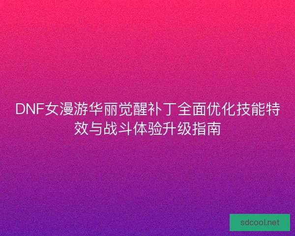 DNF女漫游华丽觉醒补丁全面优化技能特效与战斗体验升级指南