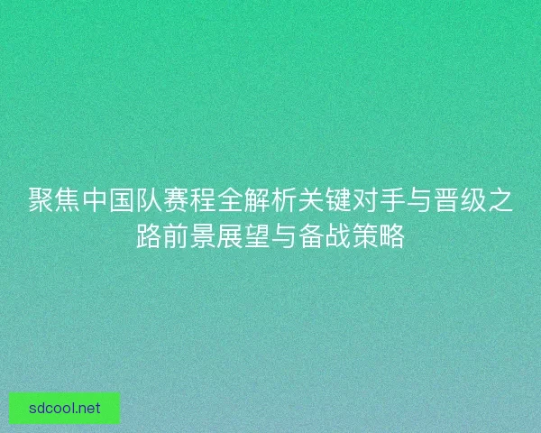 聚焦中国队赛程全解析关键对手与晋级之路前景展望与备战策略