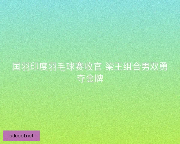 国羽印度羽毛球赛收官 梁王组合男双勇夺金牌